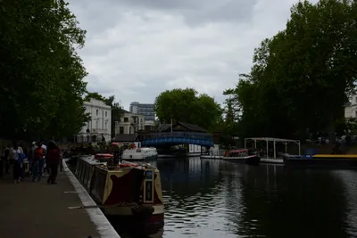 DSC_2733 (Large).JPG